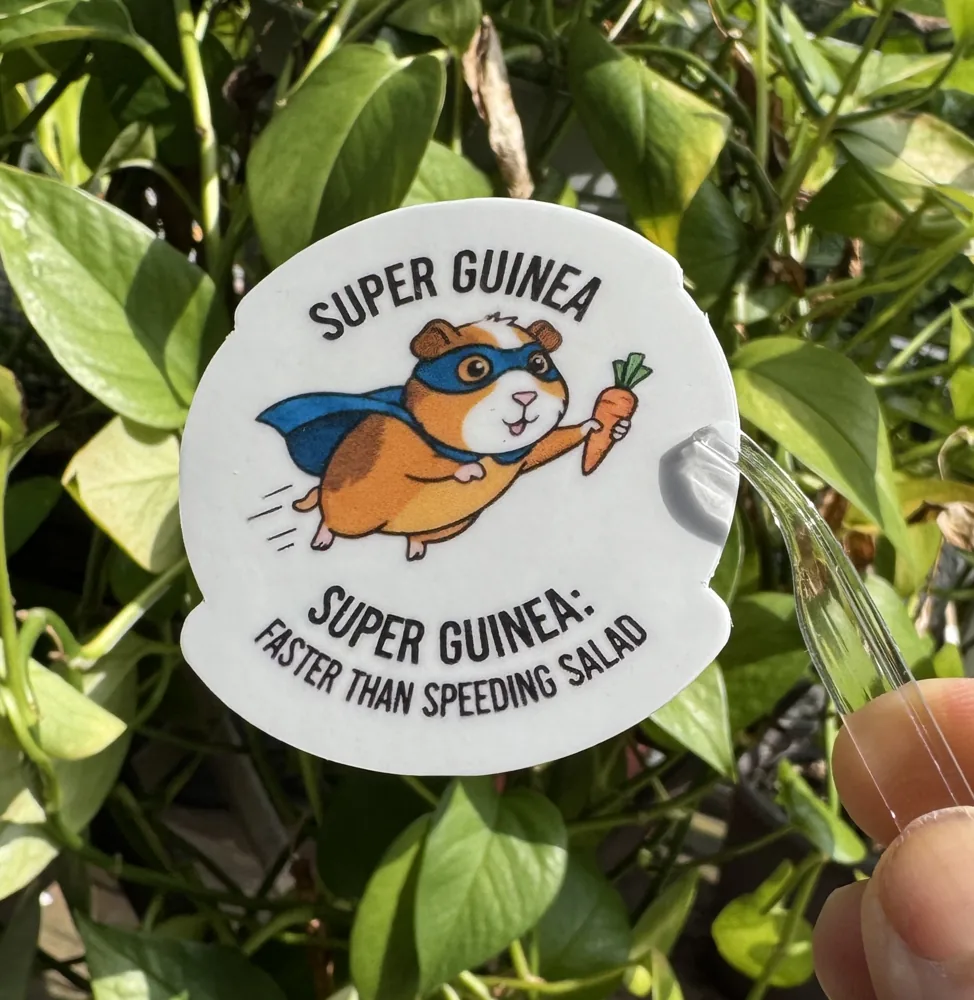 Super Guinea Sticker