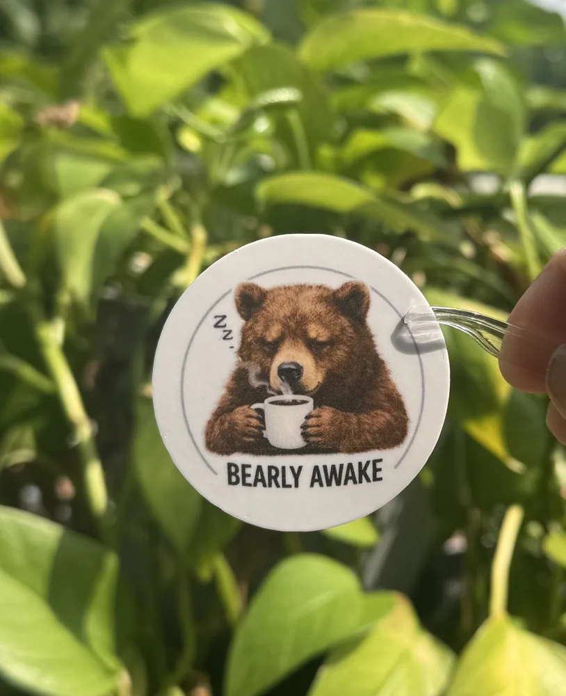 Bearly Awake Bear Sticker