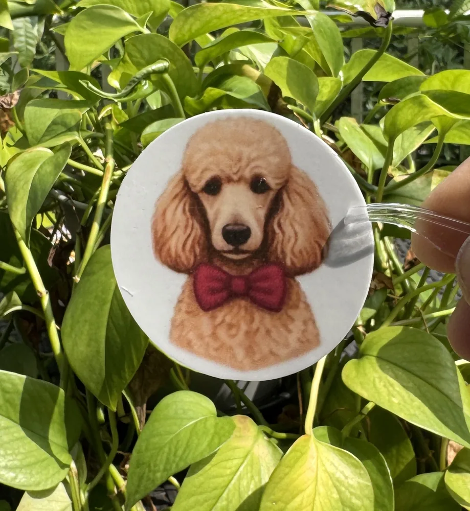 Poodle Bow Tie Sticker