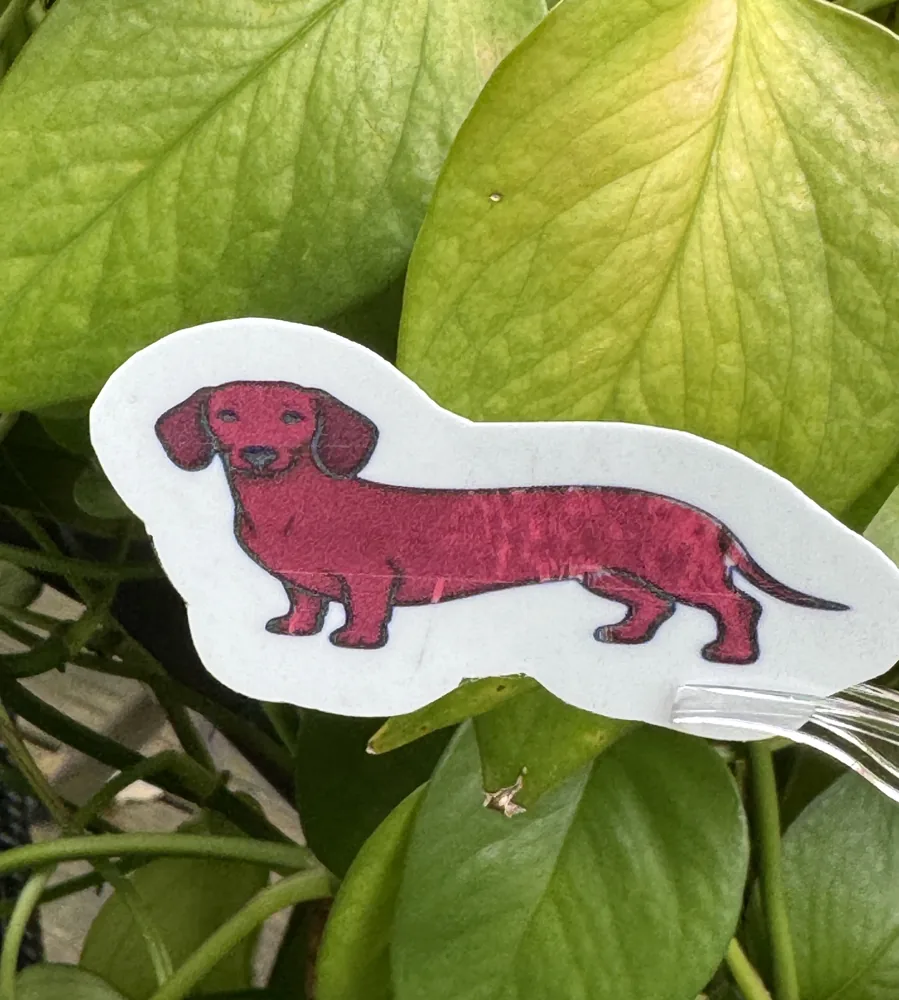 Dachshund Die-Cut Sticker (Red)