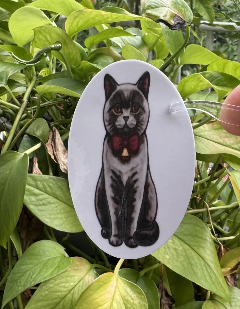 Black Cat Sticker