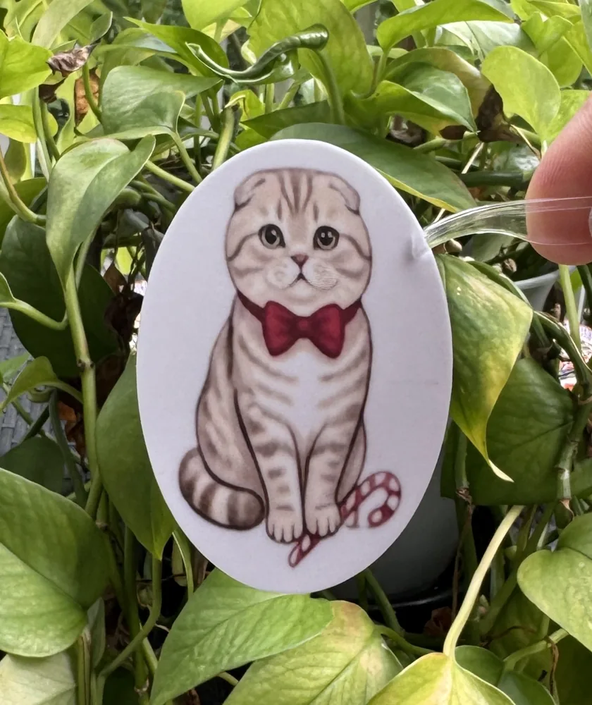 Scottish Fold Bow Tie Sticker