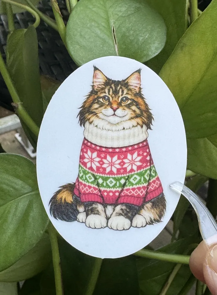 Maine Coon Sweater Sticker