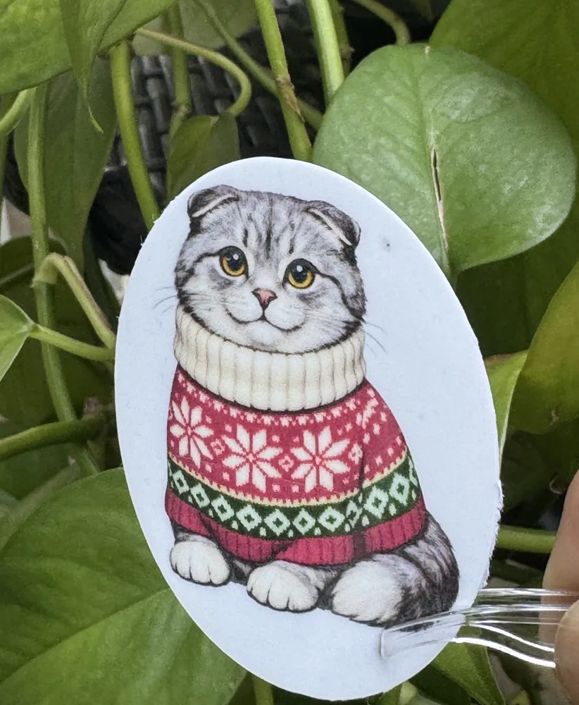 Grey Tabby Sweater Sticker