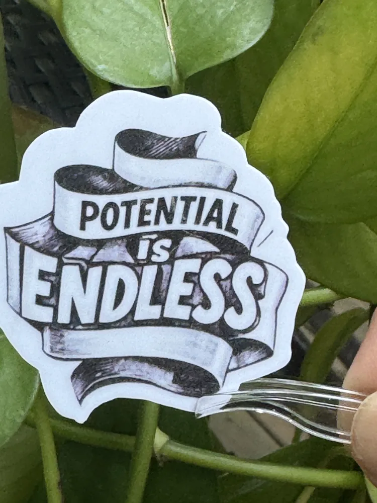 Potential Is Endless Sticker