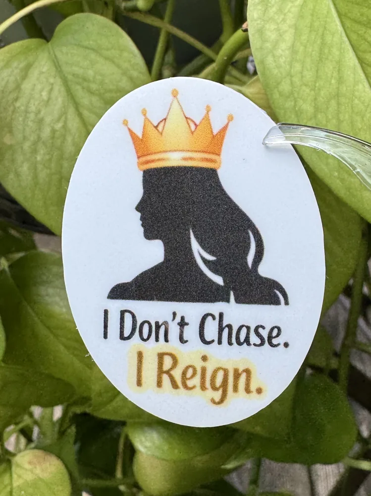 I Don't Chase I Reign Sticker