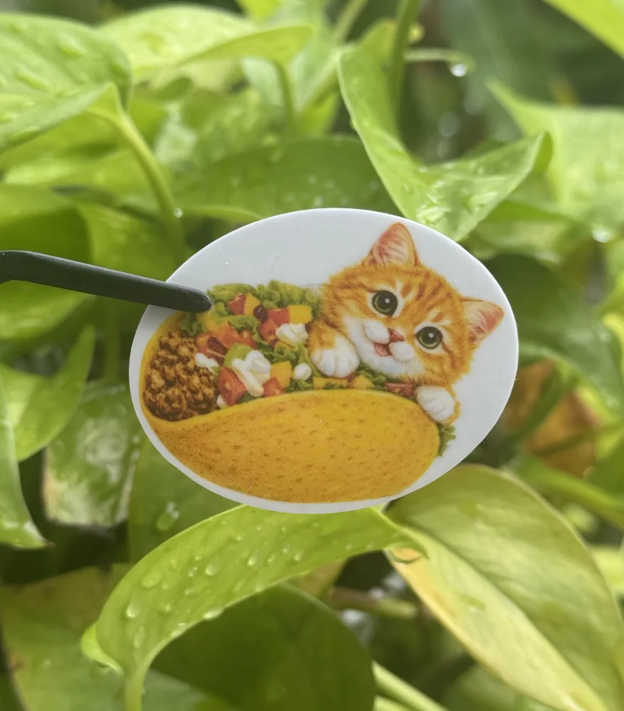 Taco Cat Sticker